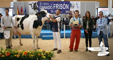 Humeco en el II Open de Ganado Frisón en el Ferial