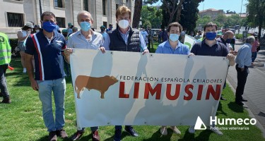 Convivencia Lobo: Plataforma en defensa de la Gestión del Lobo