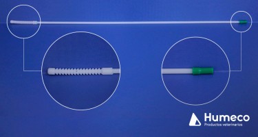 Indicaciones para la toma de muestras de Tricomoniasis bovina