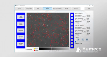 El análisis seminal con SCOPUS (Computer Assisted Sperm Analysis-CASA)