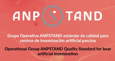 El 80% de los verracos para IA seguirán los protocolos ANPSTAND para ganar en calidad, innovación y sostenibilidad