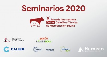 Descubre los cinco Seminarios emitidos online