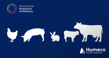 ¿Qué es el PRAN y la categorización de antibióticos en sanidad animal?