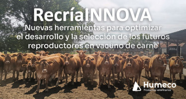 Conoce un poco más el proyecto RecríaINNOVA 