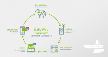 La Monitorización Veterinaria: equipos y ventajas