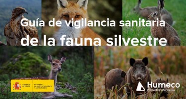 Guía sobre vigilancia sanitaria de la fauna silvestre