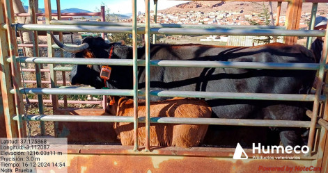Humeco trabaja junto a otras entidades en BIAnexia, primer grupo operativo europeo en mejorar el bienestar animal
