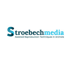 stroebech