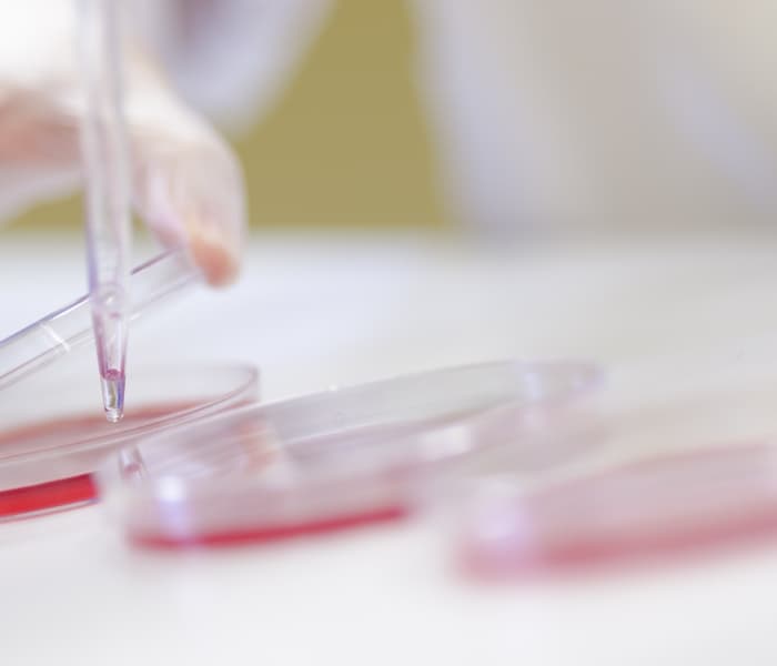 Investigación