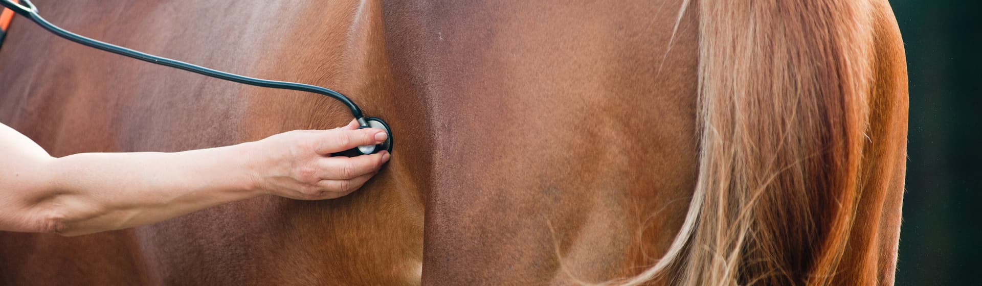 Default category header image