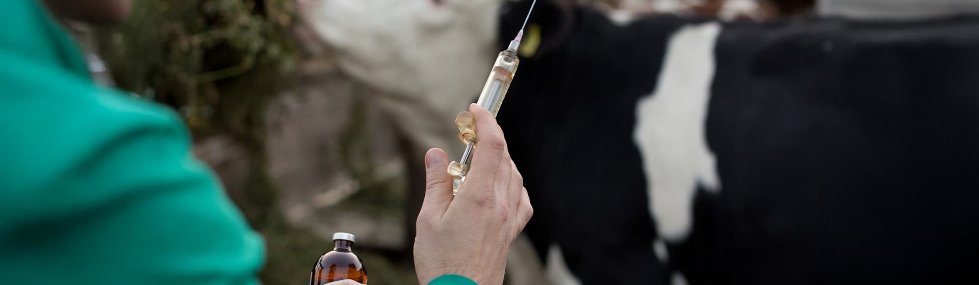 Default category header image