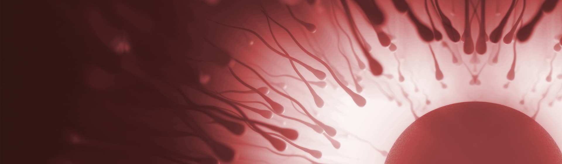 Default category header image