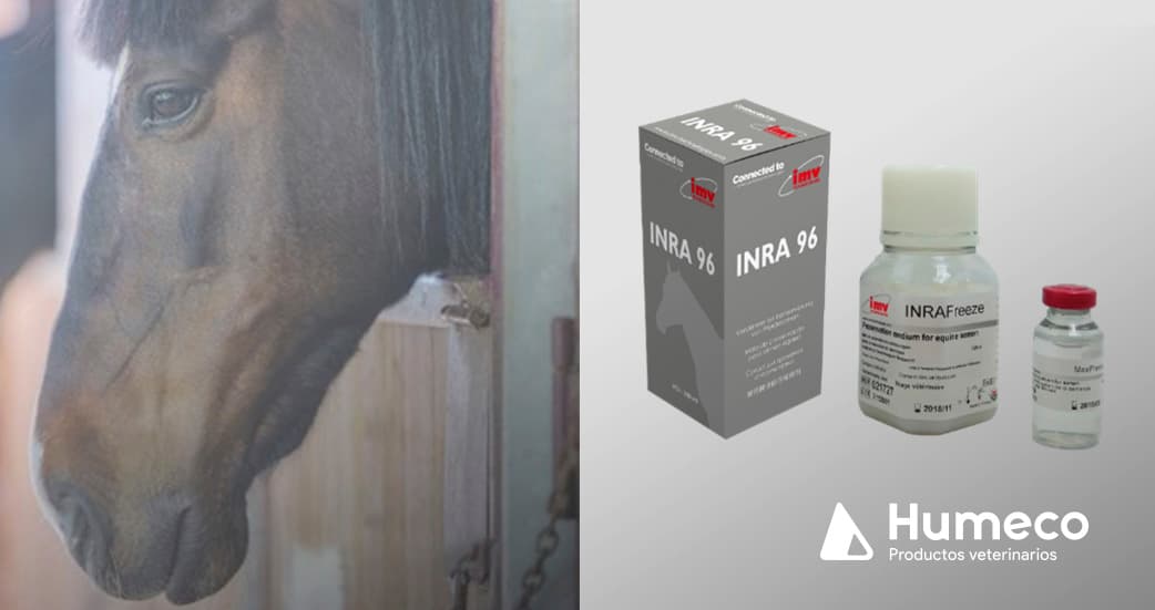 Inra 96 Label Semen equino: INRA 96, INRAFreeze y ECOOL Box - Humeco