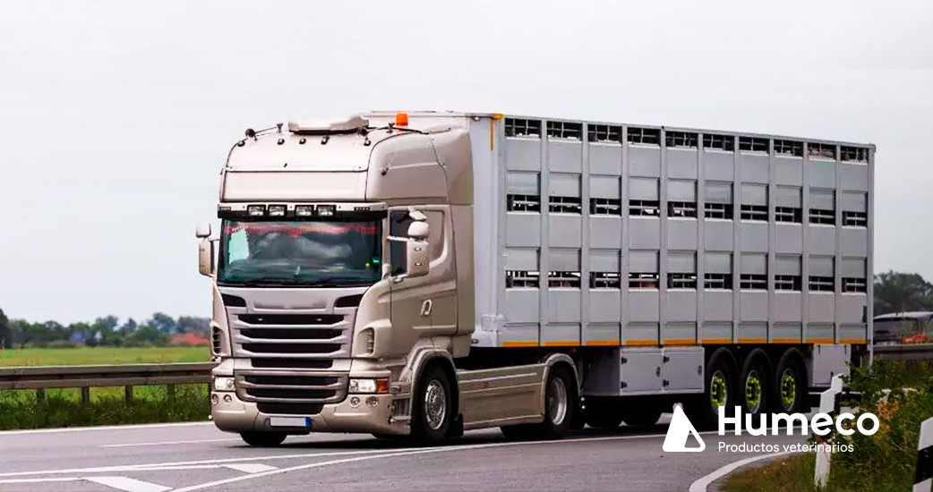 Activado el plan de control de temperatura en el transporte de animales vivos