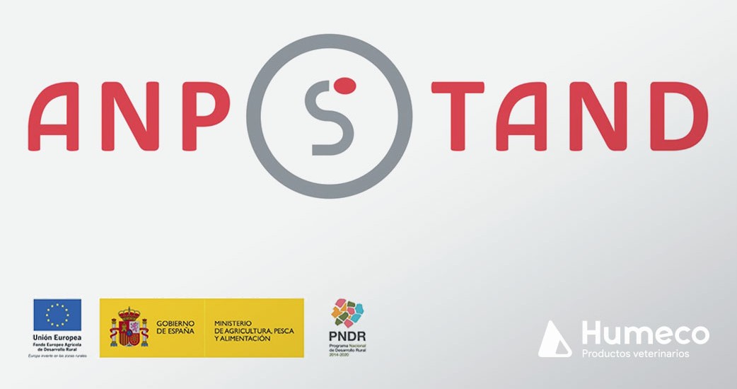 El proyecto ANPSTAND impactará de forma directa en la rentabilidad del sector porcino