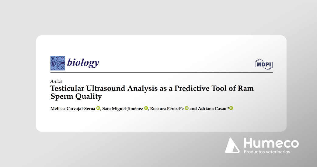 Nuevo estudio con Ecotext, una herramienta predictiva de la calidad del esperma en moruecos