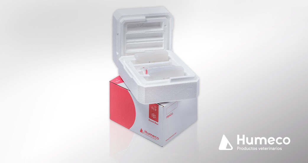 Transporte seguro del semen equino con la caja ECOOL Box