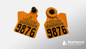 Medios de identificación oficial del ganado bovino