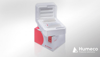 Transporte seguro del semen equino con la caja ECOOL Box 