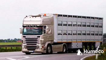 Plan de control de la temperatura en viajes de animales vivos por carretera durante el verano 2023