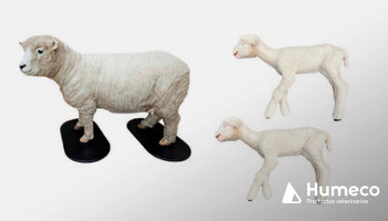 Simulador de distocia de ovino para formación veterinaria