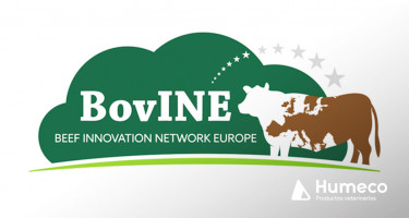 ¿Conocías el proyecto BovINE?