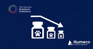¿En qué consisten los programas REDUCE en sanidad animal?